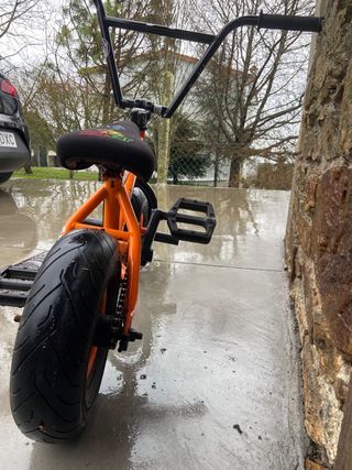 Mini bici bmx Wildcat