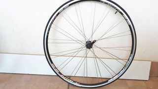 Coppia ruote bici da corsa con cerchi Twin 32