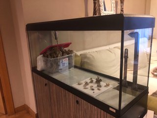 acuario marino 250litros