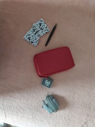 Funda y cargador de Nintendo Ds