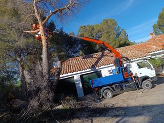 Transporte  y contenedores y cubas para broza