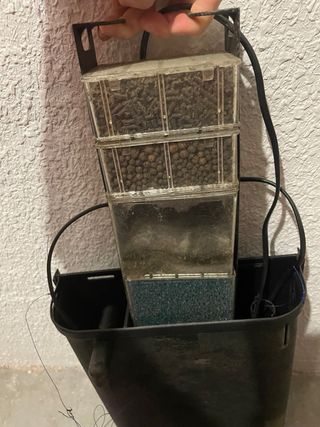 Filtro interno acuario