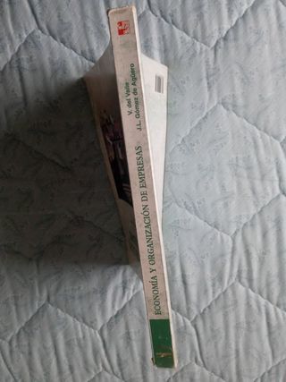 Economía y organización de empresas