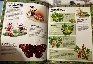 Libro “¿Qué sabes de los pequeños animales?”