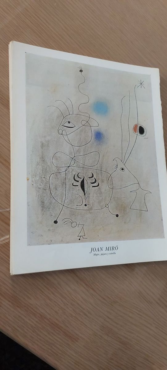 77 Laminas dibujo y pintura.