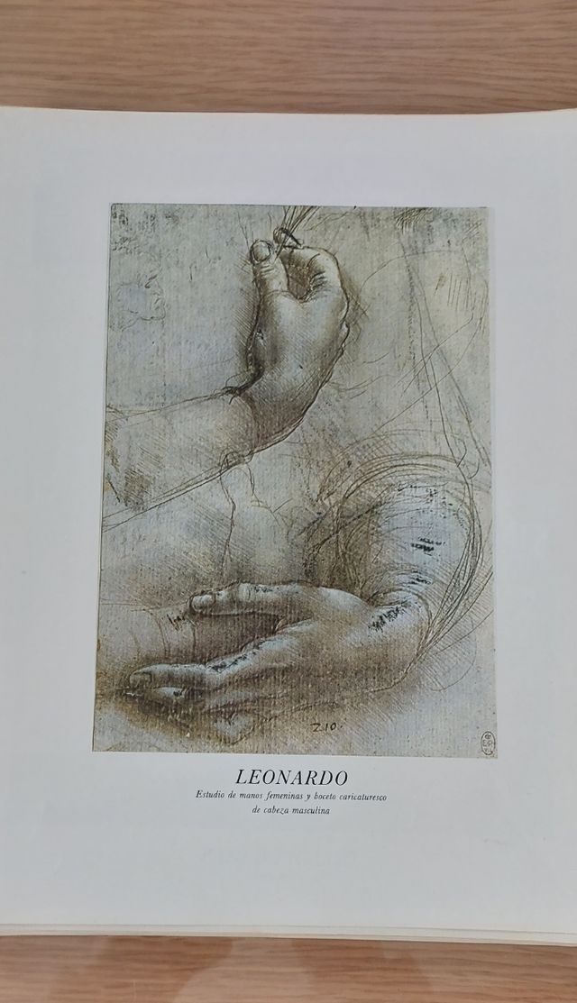 77 Laminas dibujo y pintura.