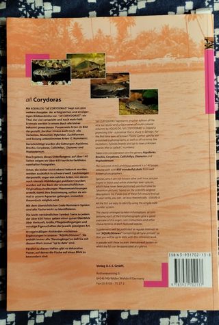 Corydoras 