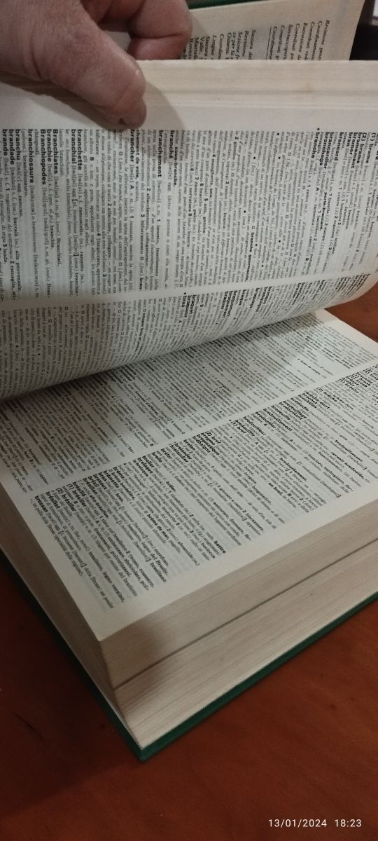 2Dizionari italiano spagnolo e spa.it