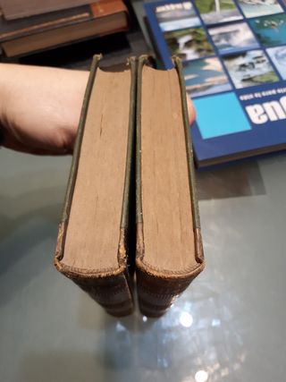 Libros antiguos año 1891 En Inglés