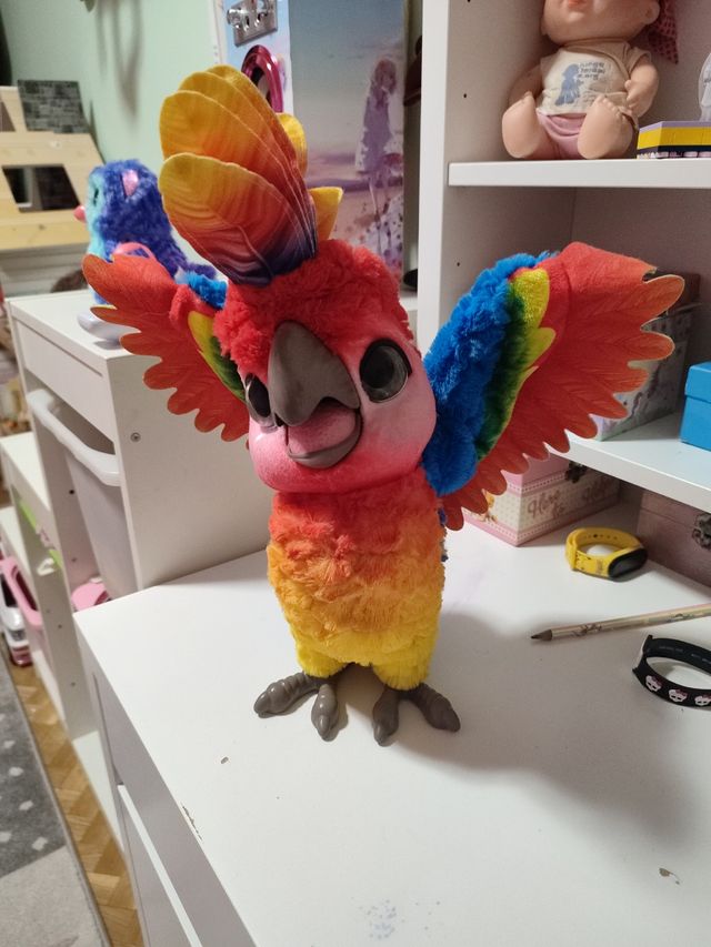 Divertente vero pappagallo