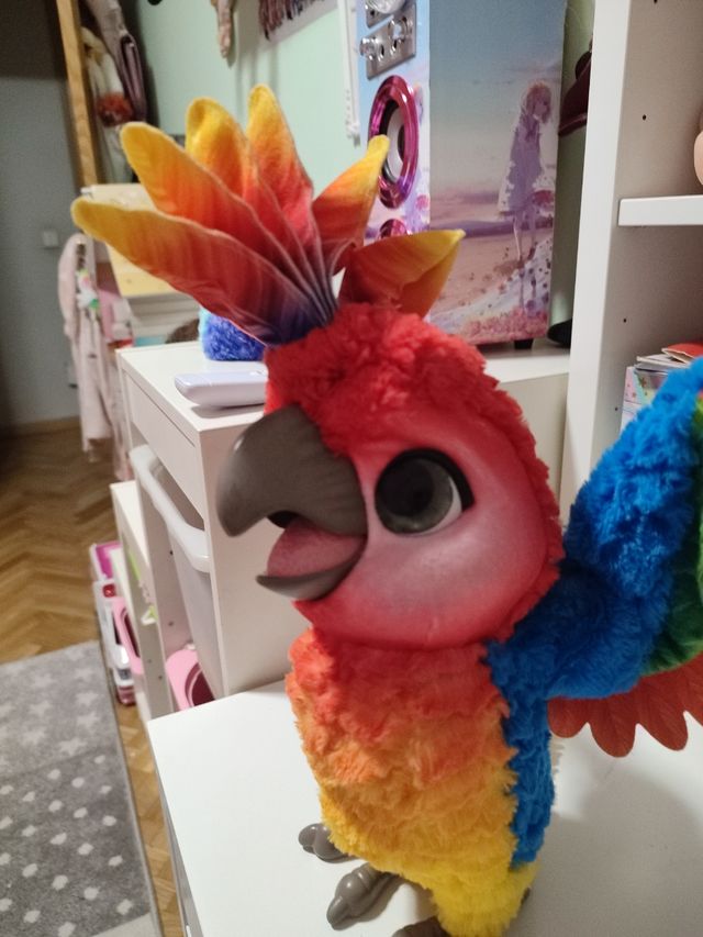 Divertente vero pappagallo