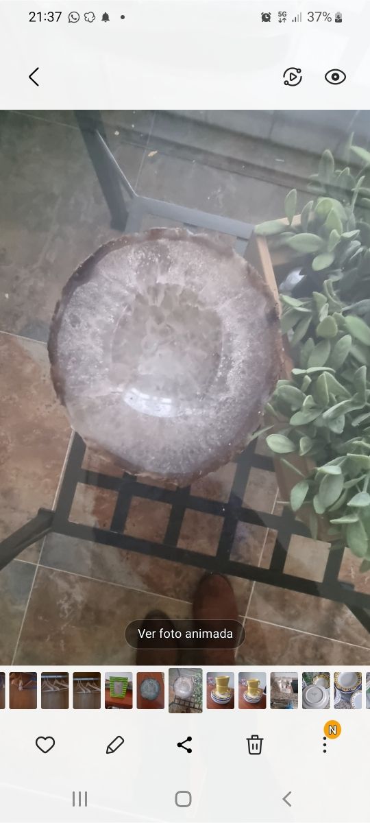 Cenicero/ Escultura de coconut