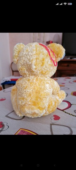 Orsetto di peluche con cuore 