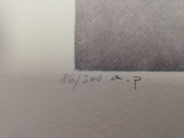 litografia color preciosa