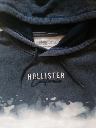 Sudadera Hollister