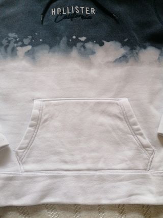 Sudadera Hollister