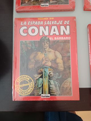Espada salvaje de conan
