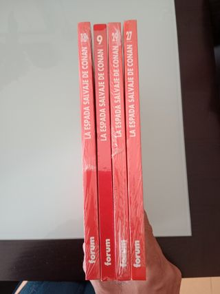 Espada salvaje de conan