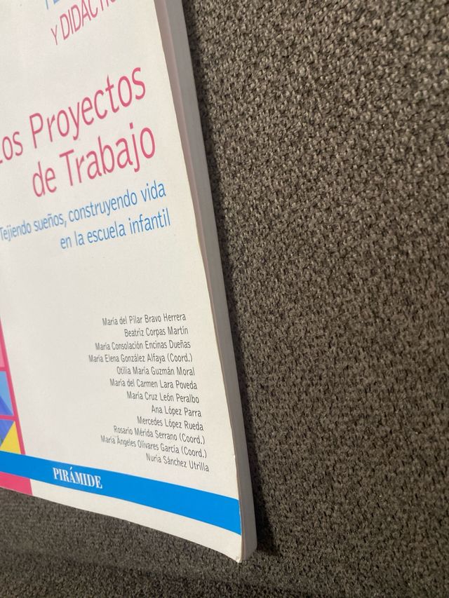 Libro Los Proyectos de Trabajo