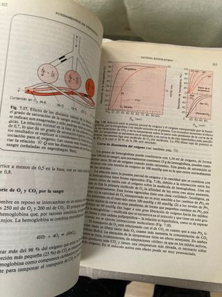 Fundamentos de fisiologia