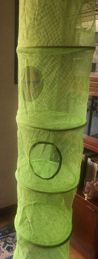 organizador de juguetes, zapatos, ropa.....