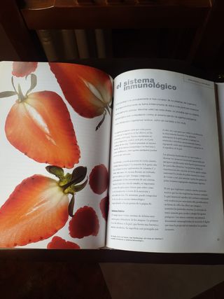 Libros alimentación y salud.