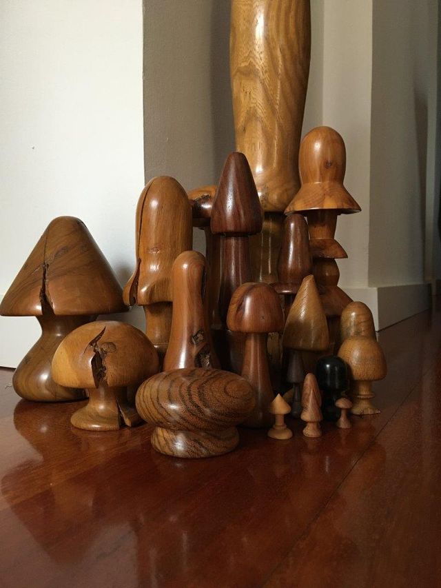 Juego de 20 setas de madera