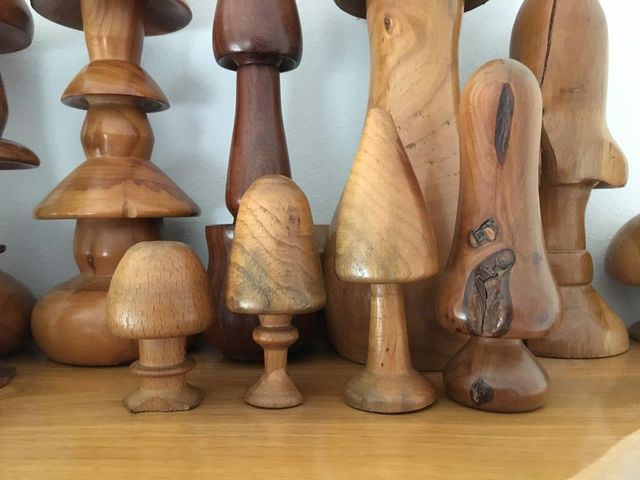Juego de 20 setas de madera