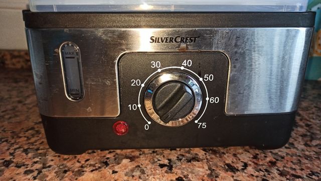 Vaporizador de alimentos