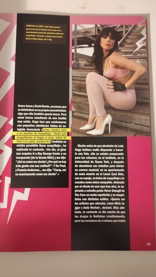 Libro Lady Gaga