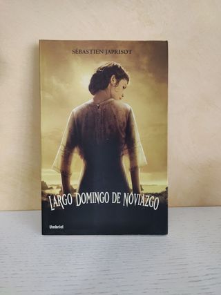 Libro Largo Domingo de noviazgo