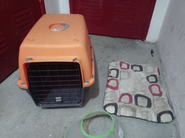 Transportín perro mediano
