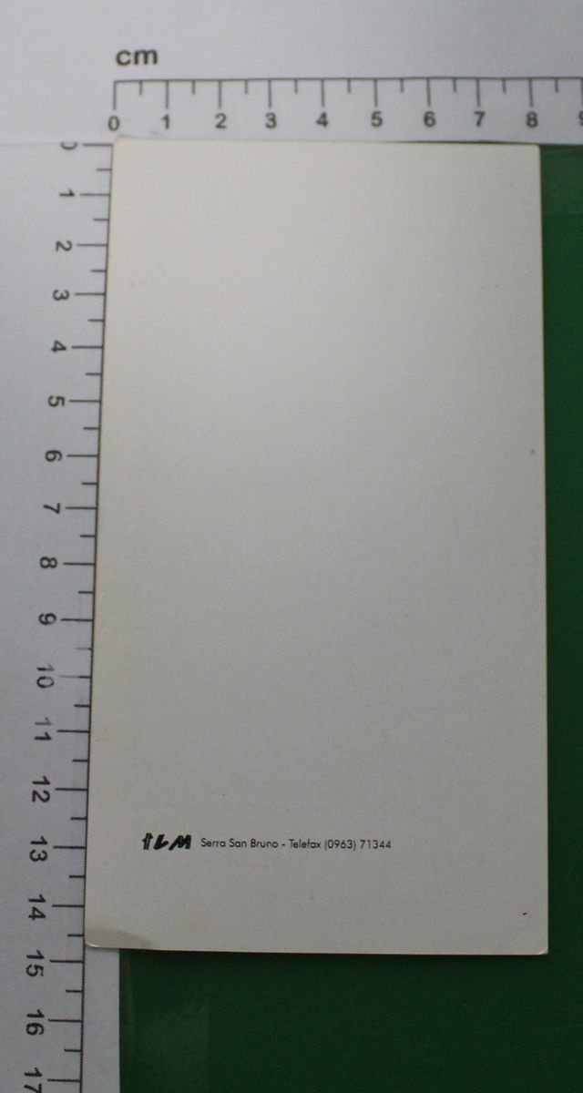 Santino / Holy Card "B. Vergine del Carmelo" - ILM