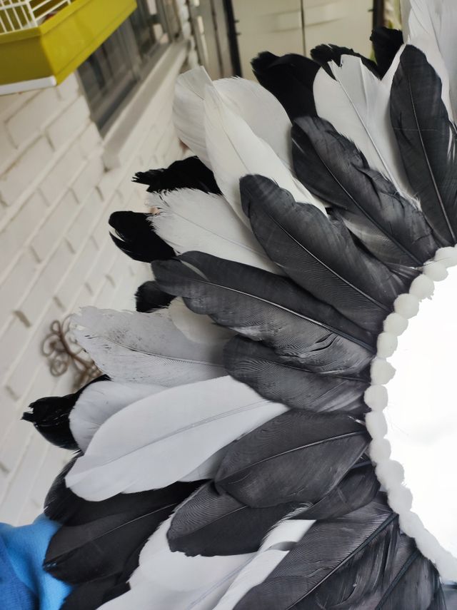 Espejo jujuhat plumas decoración