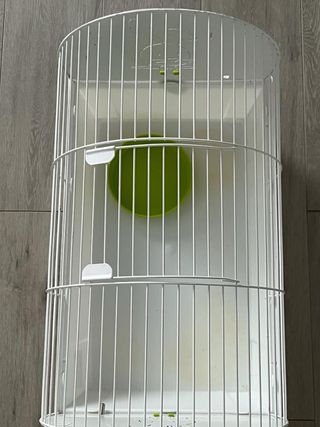 Jaula cobaya kids 993 bl-pista