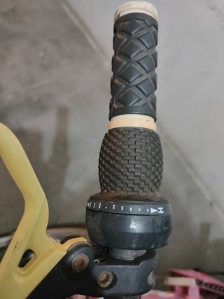 Bicicleta niña 20 pulgadas