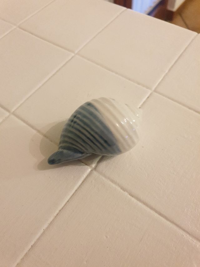 Conchiglia da decoro