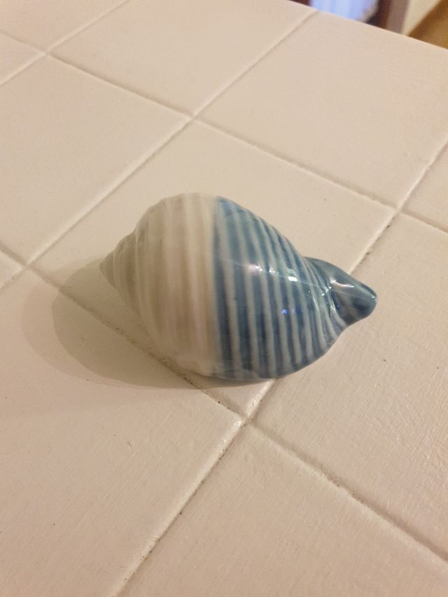 Conchiglia da decoro