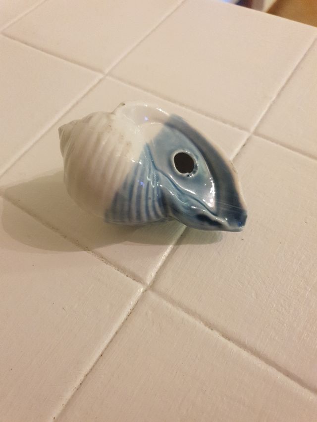 Conchiglia da decoro