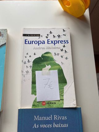 europa express y libros gallegos