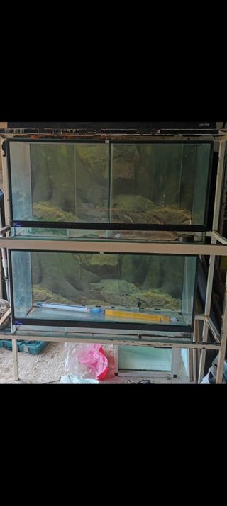 Terrario
