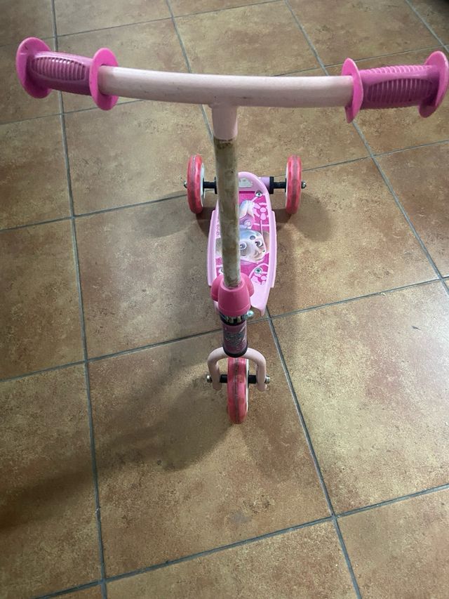 Patin Niña patrulla canina