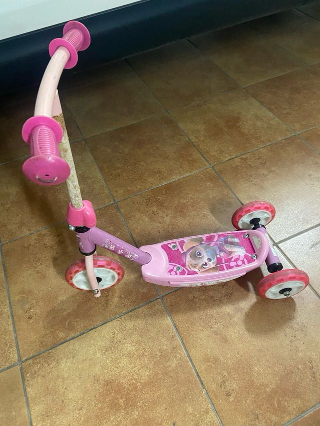 Patin Niña patrulla canina