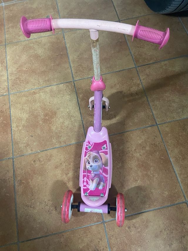 Patin Niña patrulla canina