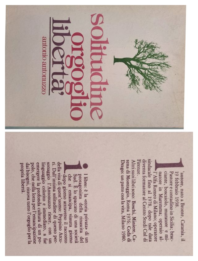 Sei libri (un ragazzo normale, etc.)