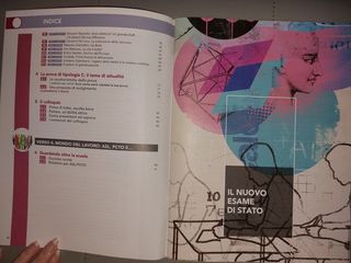 Manuale di scrittura ed esame di stato