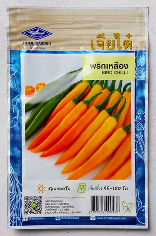 25 Semillas Bird Chilli