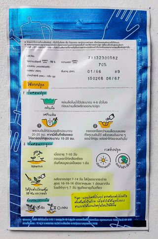 25 Semillas Bird Chilli