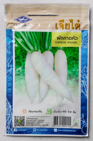 25 Semillas Chinese Radish / Rábano Chino