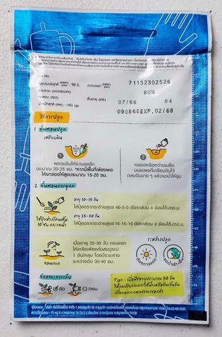 25 Semillas Chinese Radish / Rábano Chino